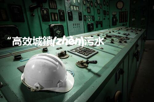 “高效城鎮(zhèn)污水處理流程，守護(hù)碧水藍(lán)天新篇章”